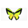 BirdWingZ Butterfly Photo Greeting Card