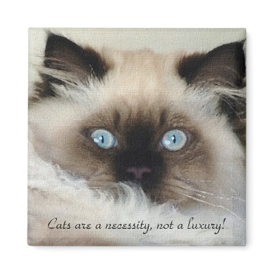 Birman - Ragdoll Cat Lover Magnet by RavenSpiritPrints