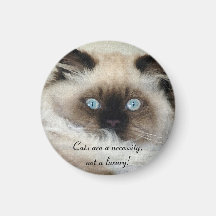 Birman - Ragdoll Cat Lover Magnet