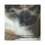 BIRMAN RAGDOLL CAT Magnet Series