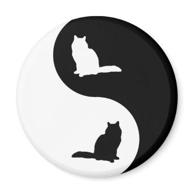 Birman Yin Yang Refrigerator Magnet by catwiregifts