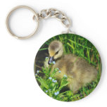 Birth and Creation- Innocence keychains