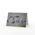 Birth announcement for triplets