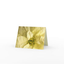 Birth Month Flower Note Cards - DECEMBER