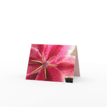 Birth Month Flower Note Cards - MAY