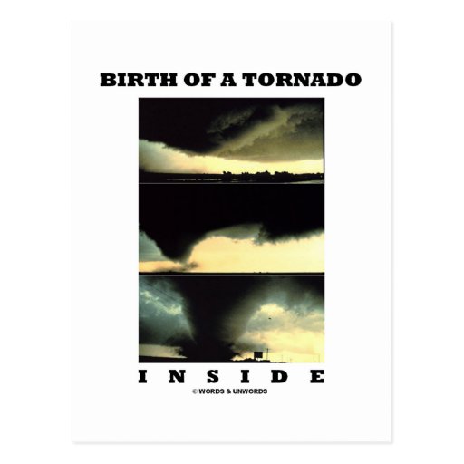 Birth Of A Tornado Inside (Meteorology) Postcard