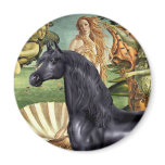 Birth of Venus - Black Arabian Horse magnets