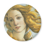 Birth of Venus - Botticelli magnets