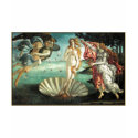 Birth Venus Botticelli t-shirts