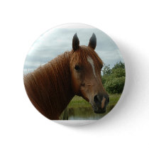 Birthday 012 pinback buttons