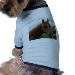 Birthday 012 pet tee