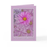 Birthday, 100th, Daisies cards