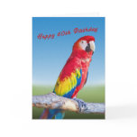 Birthday, 60th, Macaw Parrot