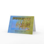 Birthday, 71st, Tricolored Heron, Reflections