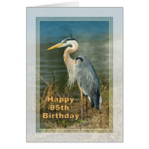 Birthday, 85th, Great Blue Heron Bird Card
