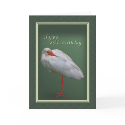 Birthday, 85th, White Ibis Bird Card by GrandmaDee