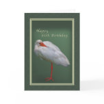 Birthday, 85th, White Ibis Bird cards