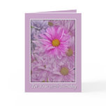 Birthday, 97th, Daisies cards