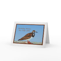Birthday, 98th, Ruddy Turnstone Bird
