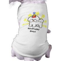 Birthday Bichon Frise