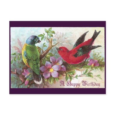 Birthday Birds 1800s Post Card