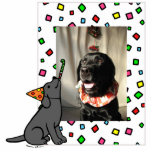 Birthday Black Labrador Cartoon Photo Frame Photo Sculpture