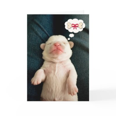 Birthday Bone Greeting Card by bettmophoto