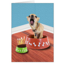 Birthday Bowl Greeting Card