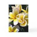 birthday card