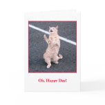 Birthday Card