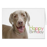 Birthday Card