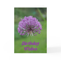 Birthday Card: Alium