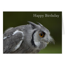 Birthday Card - Baby Grey Owl