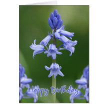 Birthday Card - Bluebells