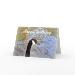 Birthday Card: Canada Goose
