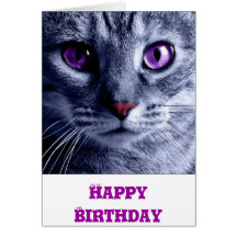 Birthday Card: Cat Birthday Card