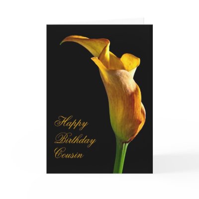 Birthday card for cousin by Eggznbeenz