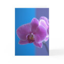 Birthday Card for Daughter -- Orchid