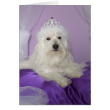Birthday Card for Granddaughter -- Princess