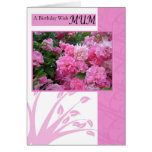 Birthday Card for mum, wild pink roses