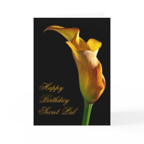 Birthday card for secret pal
