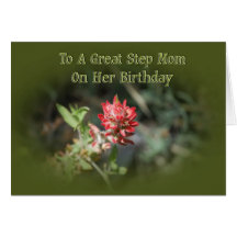 Birthday Card For Step Mum