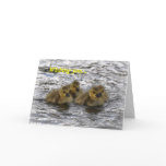 Birthday Card: Goslings