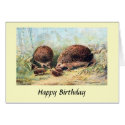 Birthday Card - Hedgehogs