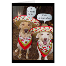 Birthday Card in Spanish