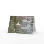 Birthday Card: Mallard and Duckling