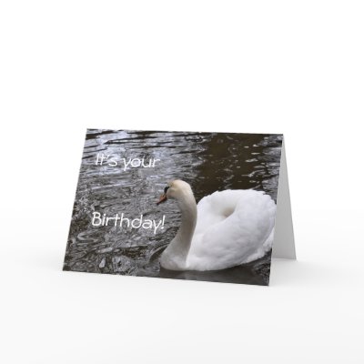 Birthday Card: Mute Swan by Just_Cards