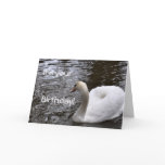 Birthday Card: Mute Swan