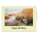 Birthday Card - Wild Duck