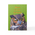 Birthday Card with Great Horned Owl